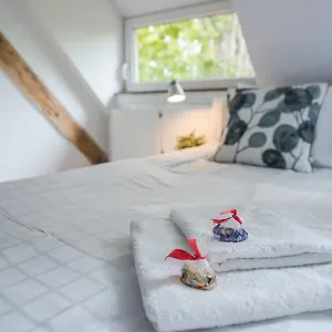 Hostel Fitness Premium, Breslau